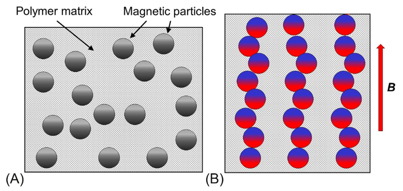 Schematic representation of a MAE