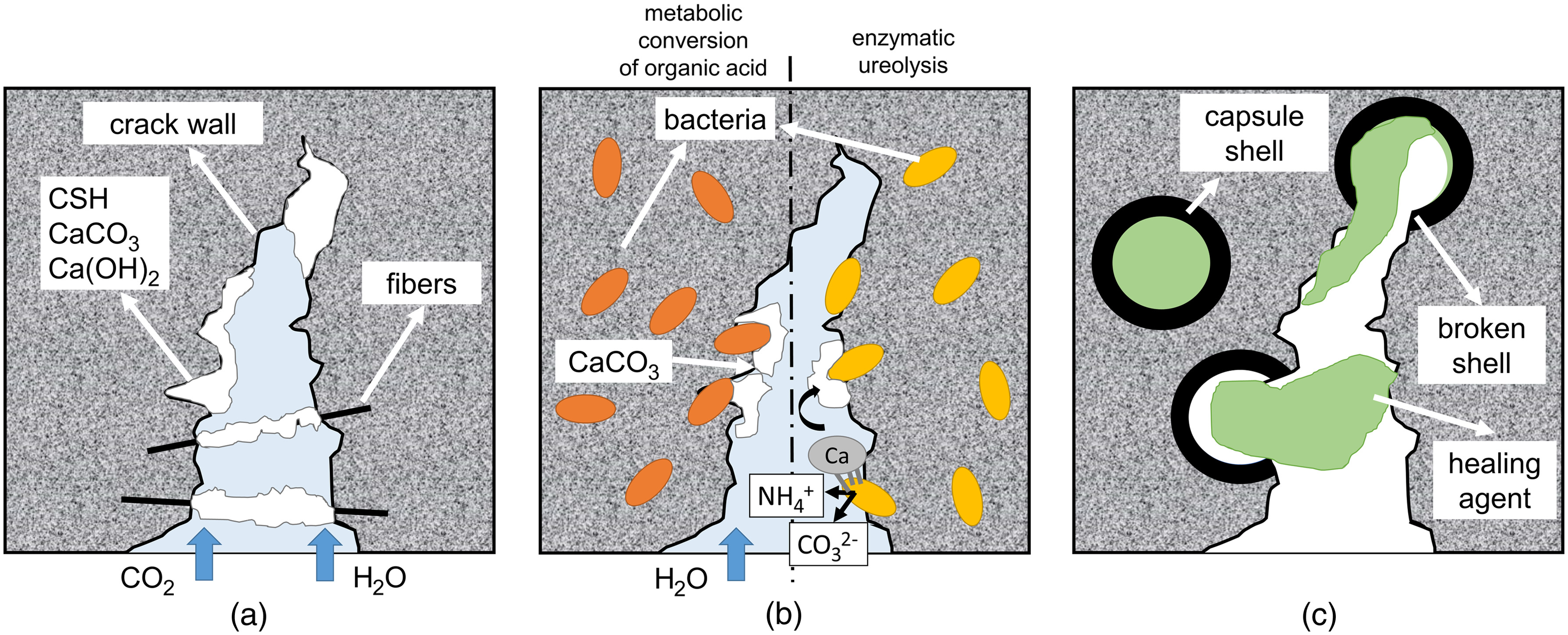 Self-Healing Mechanisms: (a) Autogenous; (b) Autonomous Bacteria-Based; and (c) Autonomous Capsule-Based.