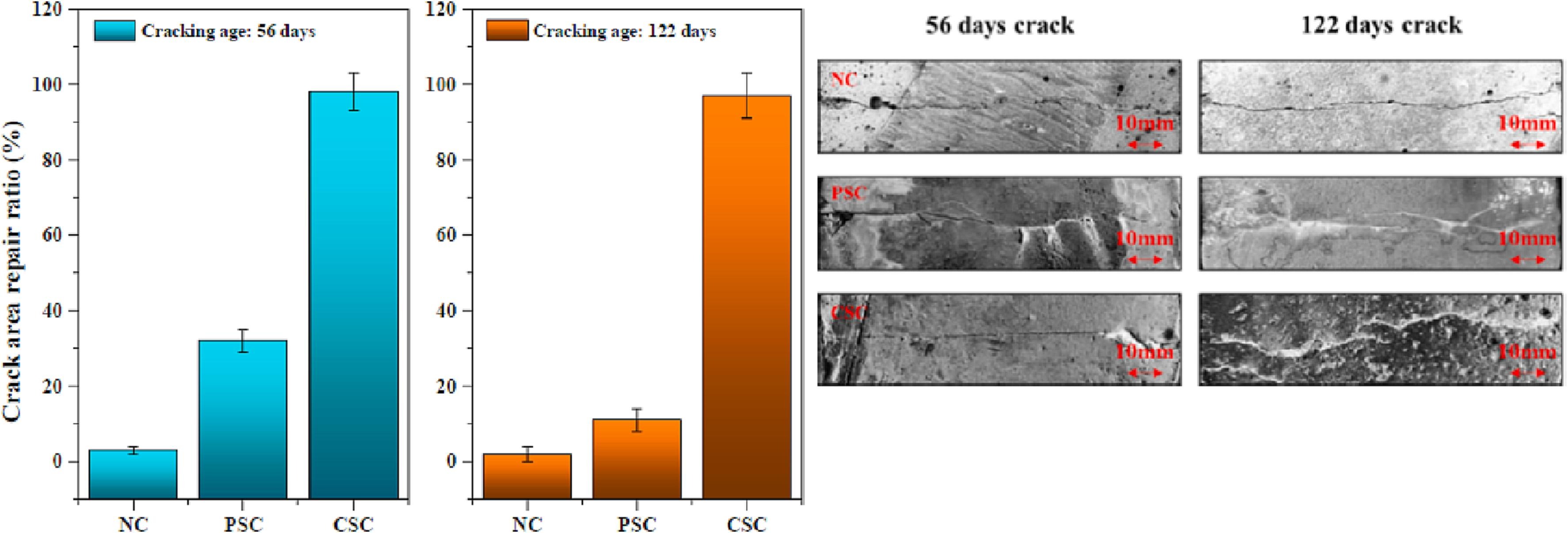 Comparison of the repair rate at the crack mouth (NC: normal concrete, PSC: bacterial self-healing concrete with powder-based healing agents; CSC: bacterial self-healing concrete with capsule-based healing agents).